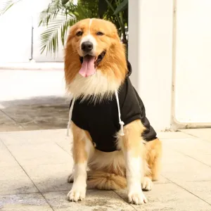 Active Canine Style: Sport Dog Hoodies for Medium and Large Dogs - Warm Fleece Sweatshirt with Hood and Pocket for Winter Pet Outfits