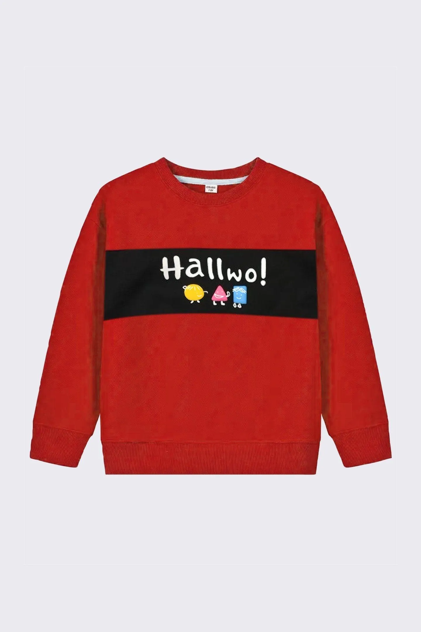 Boys Red Hallwo Sweatshirt