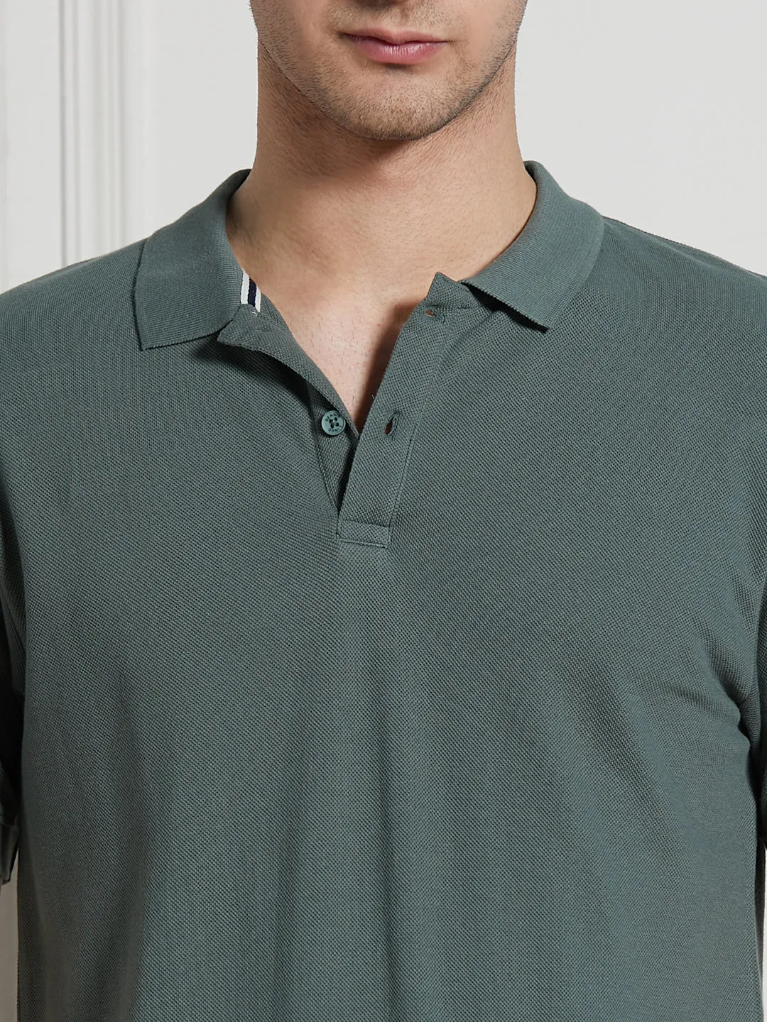 Men's Sage green Cotton Regular Fit Polo T-Shirt