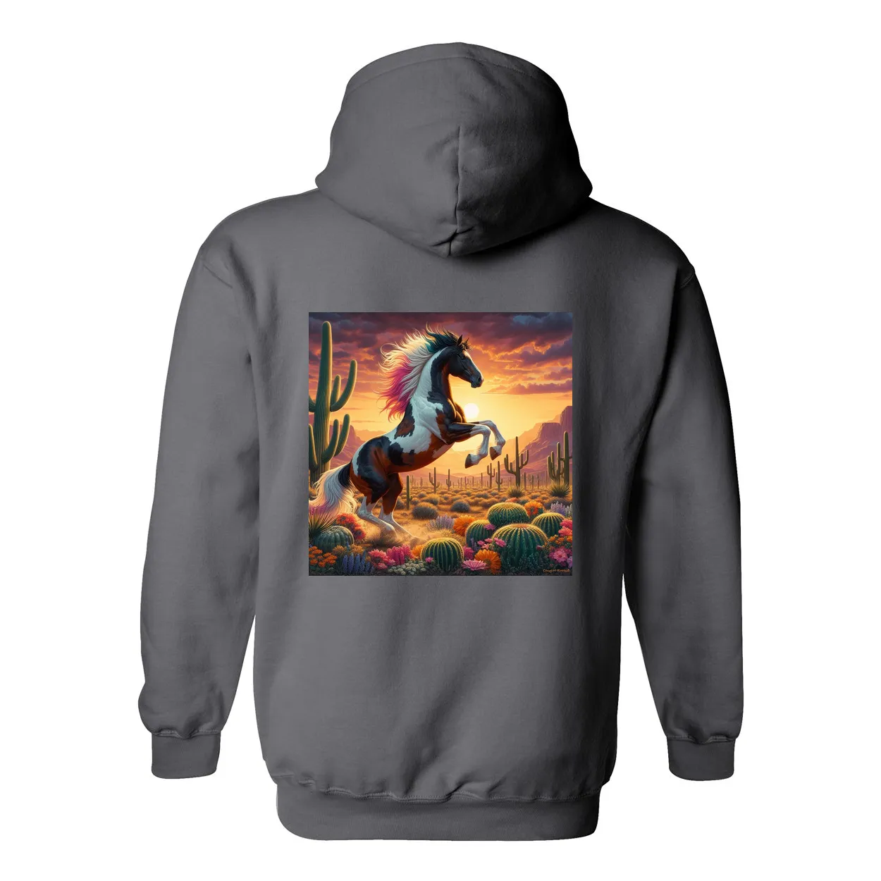 Painted Desert Horse Design on Back Front Pocket Hoodies