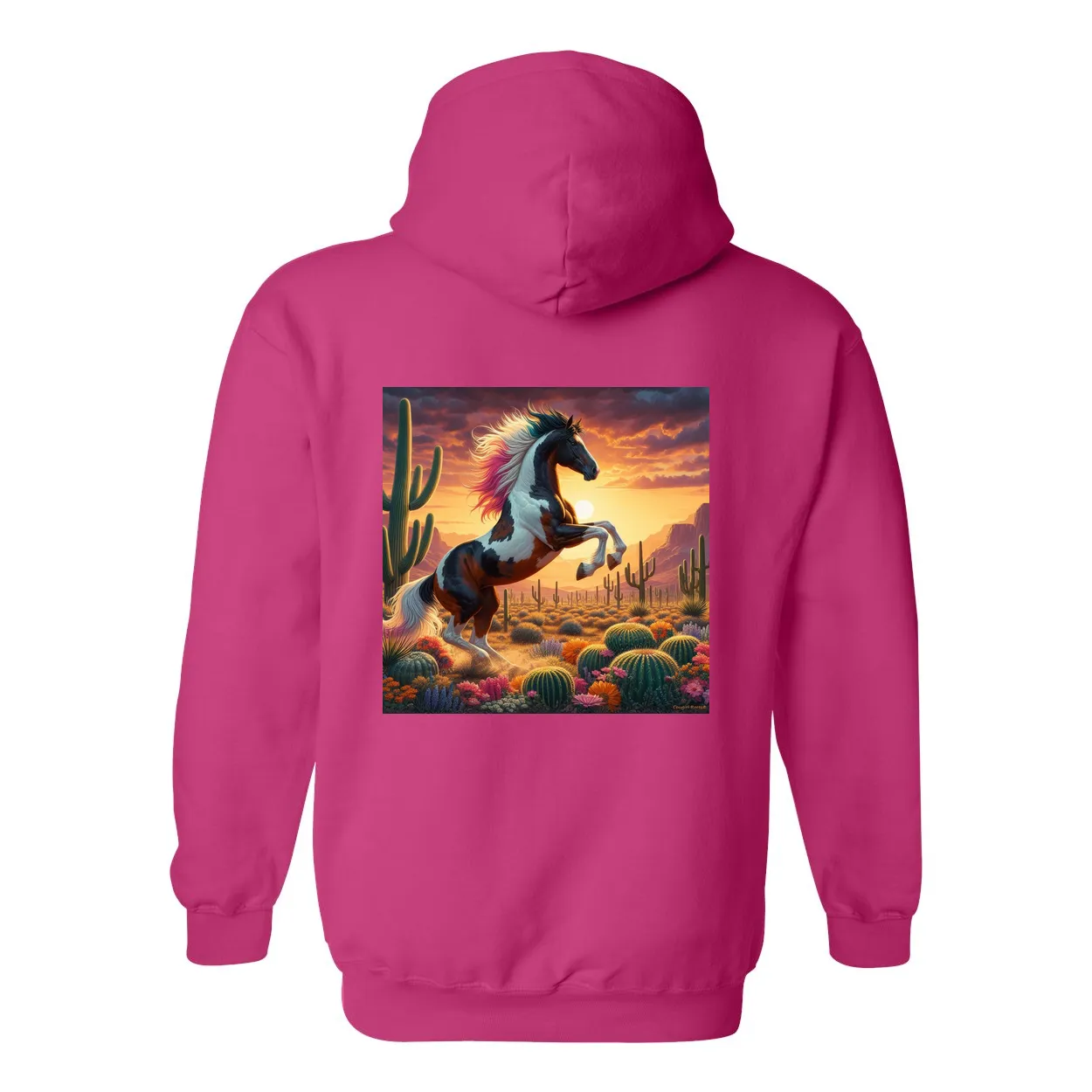 Painted Desert Horse Design on Back Front Pocket Hoodies