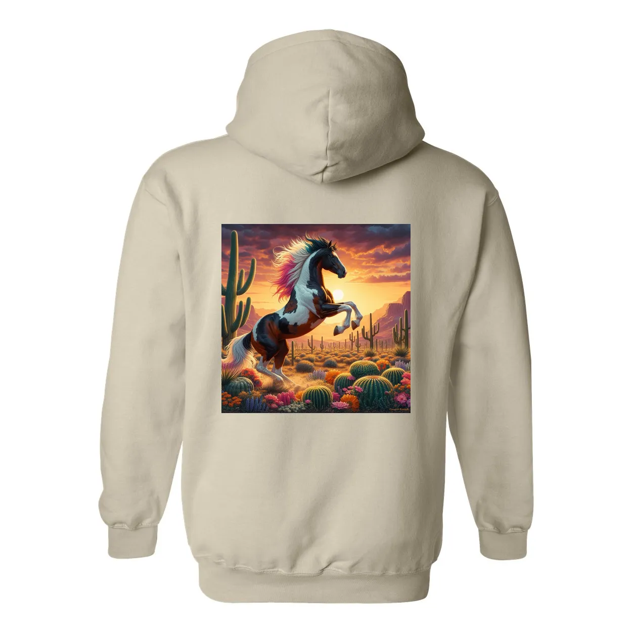 Painted Desert Horse Design on Back Front Pocket Hoodies